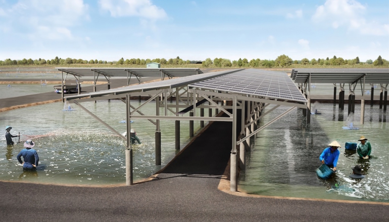 英國石油光電布局亞洲首站，子公司Lightsource bp嘉義啟動115MW漁電案場