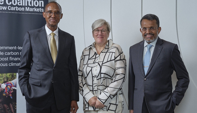 Singapore, UK, Kenya launch first government-led alliance for voluntary carbon markets