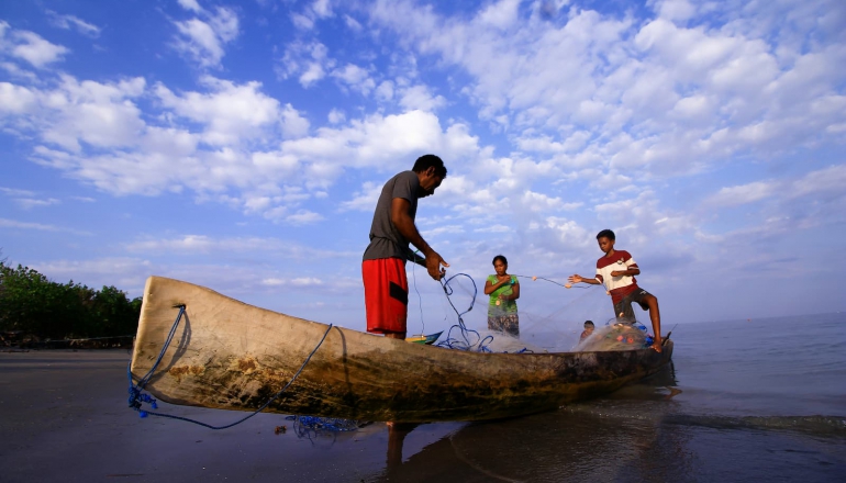 A new data hub helps small-scale fishers adapt to climate change