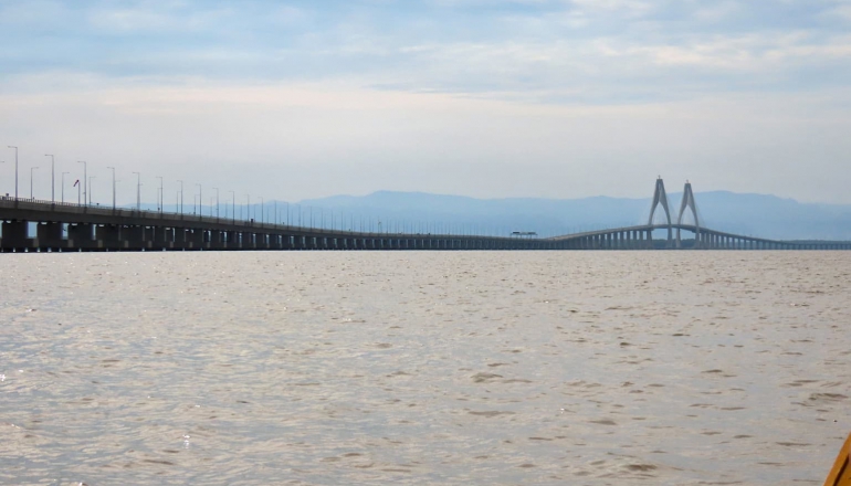 Brunei built Southeast Asia’s longest bridge — what does this mean for wildlife?