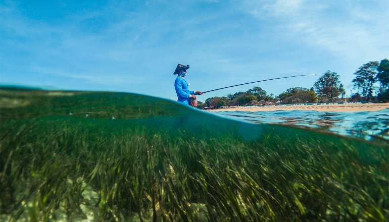 Indonesia eyes seagrass zoning for blue carbon as experts urge community benefits