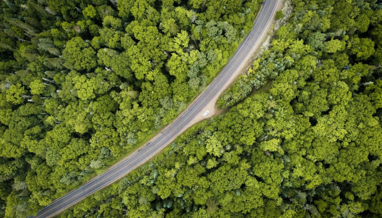 COP30 tropical forest fund may drive debt and deforestation, groups warn