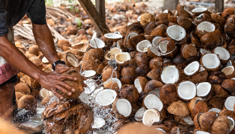 Philippines’ biodiesel producers urge caution on mandate revisions