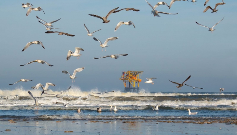 Concrete ocean pledges lacking in countries’ climate plans, say experts