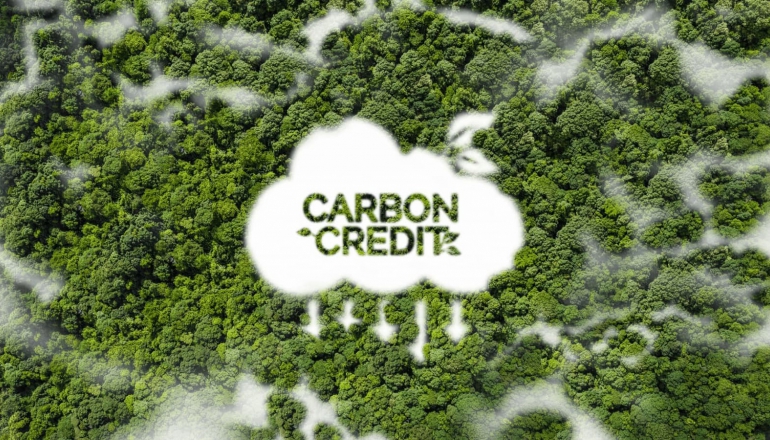 Vietnam unveils carbon trading framework, eyes market launch by 2026