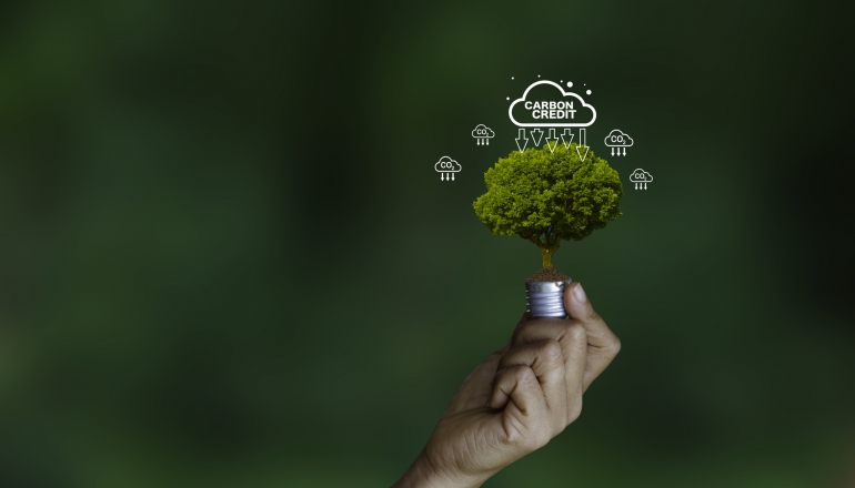 Asia’s carbon markets 2026: What to expect as policy momentum meets market fragmentation