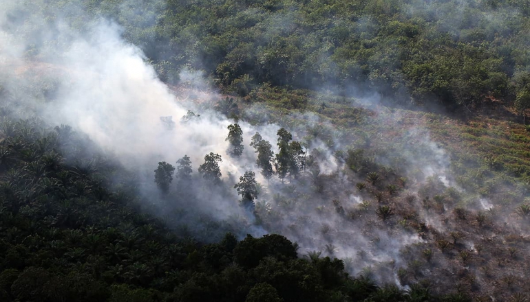 Indonesia braces for possible ‘Godzilla El Niño’ as fire season escalates early