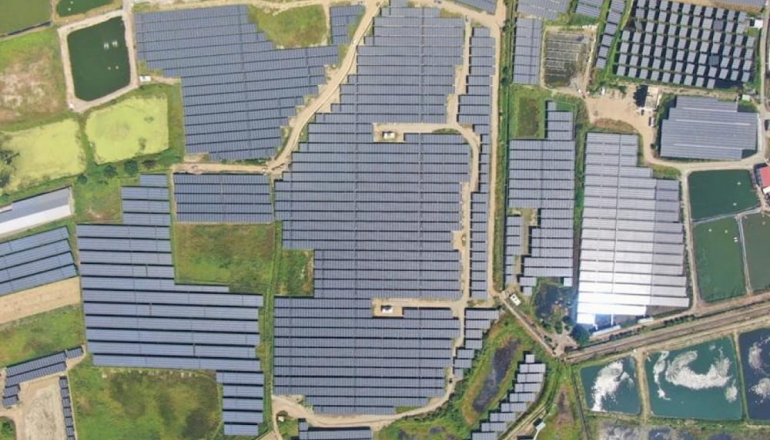 雲豹能源首季營收年增67%，重金收購貝萊德187MW光電場搶攻AI用電
