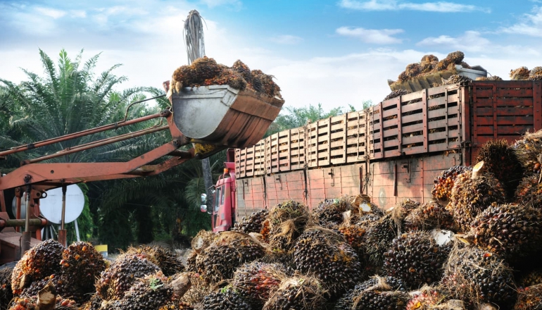 Malaysia, South Korea launch $169 million bio-CNG plan using palm oil waste