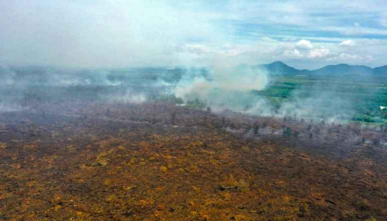 A possible strong El Niño fuels fears for fires across Indonesian tropical peatlands
