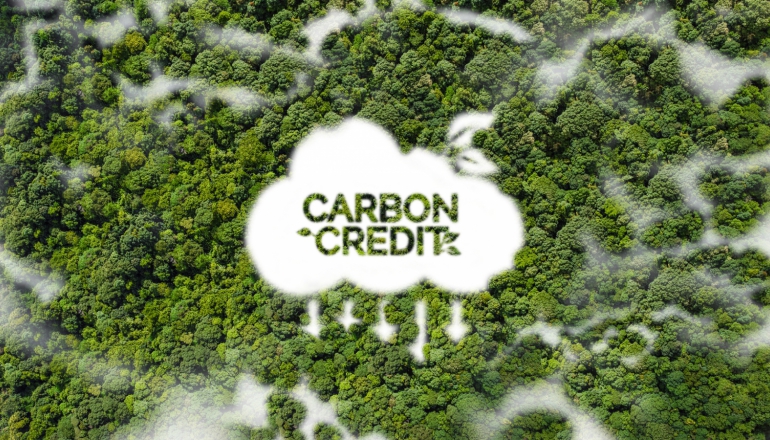 ASEAN CORSIA credits could generate up to $8.5 billion as aviation demand grows: report