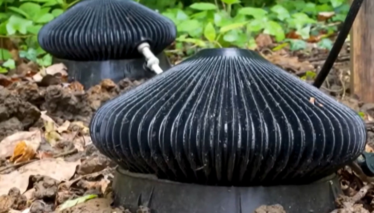 泥土也能發綠電！英國研發「細菌電池」，靠土壤微生物24小時自我充電