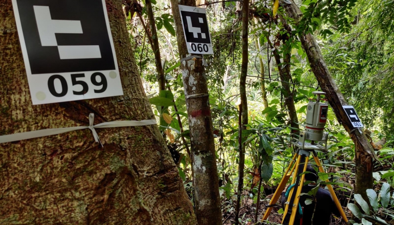 Southeast Asia's forests losing natural cooling as climate warms, study finds