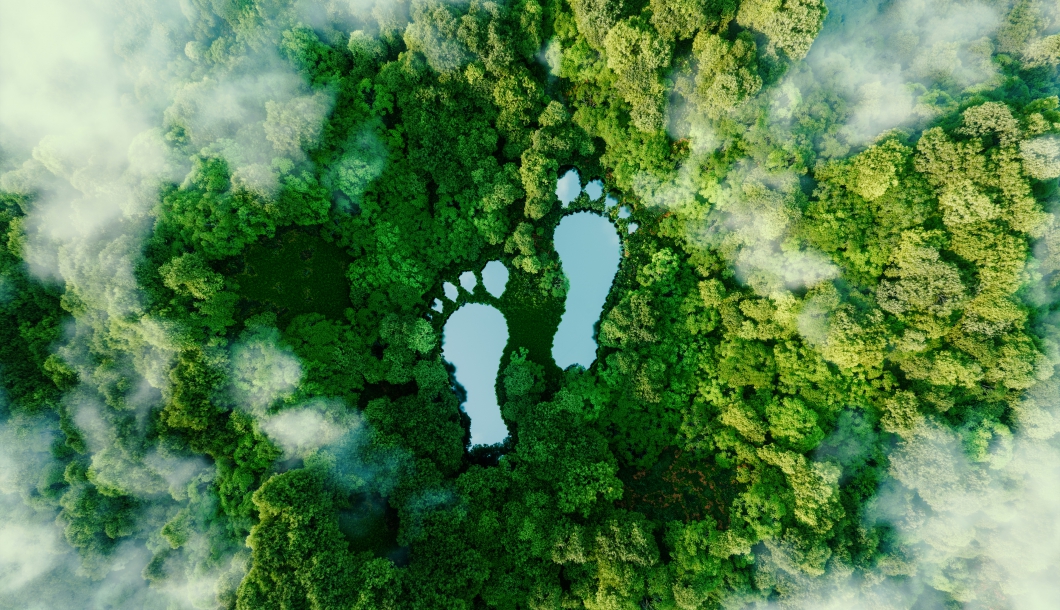 Carbon Footprint & Label