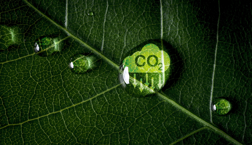 Carbon Reduction