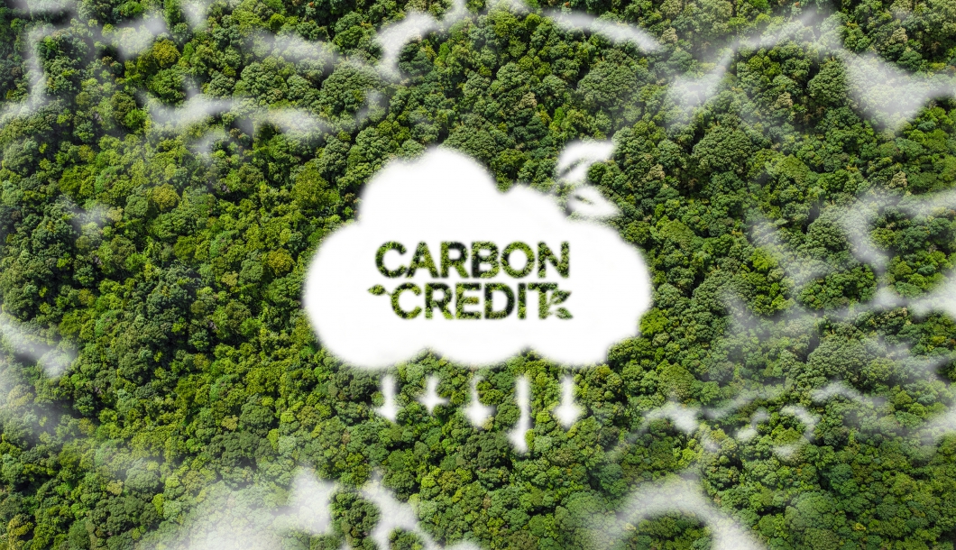Carbon Credit