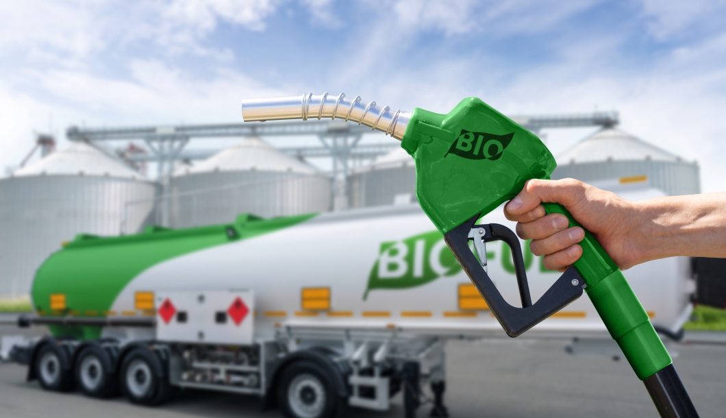 Bioenergy