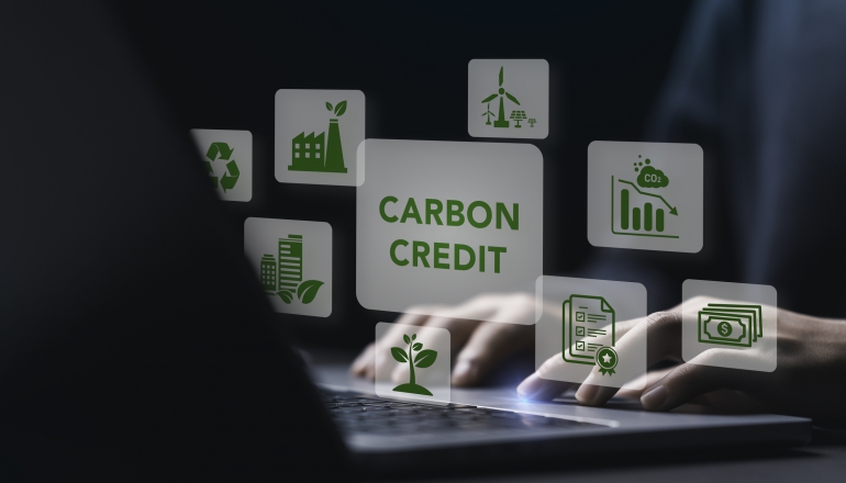 Analysis of the voluntary carbon market: Challenges, trends, and long-term corporate strategies
