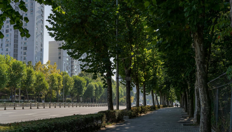 柳婉郁專欄》都市林ESG新革命（下）：盤點企業投資模式，5大關鍵打造台灣參與平台