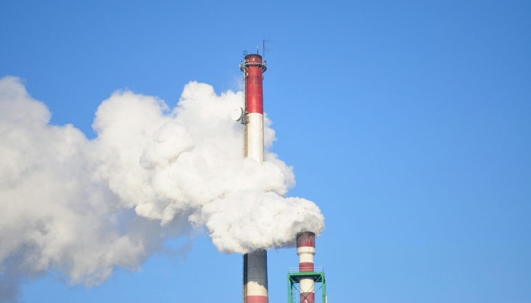 IETA unveils new guidelines for companies on carbon credits