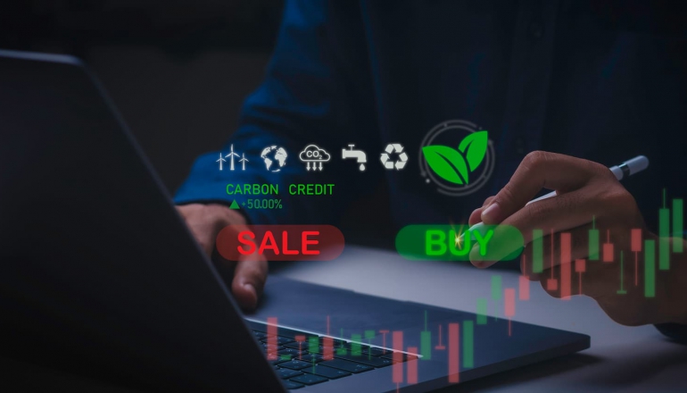Analysis of carbon credit vintage: Does age really matter?