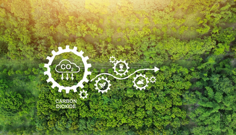 Global carbon market trends 2025: Diverging paths, shared ambitions