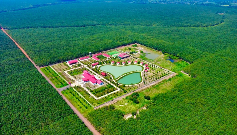 越南橡膠巨頭公布永續計畫 將橡膠林碳權列入重點
