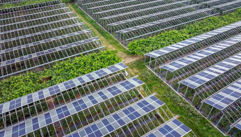 太陽能不是農業的敵人!借鑑農電共生國際趨勢,台灣如何發展本土模式?